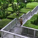 gardenwalkway_lg