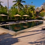 garden-swimming-pool-2