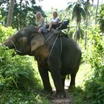 elephant-trekking-koh-samui